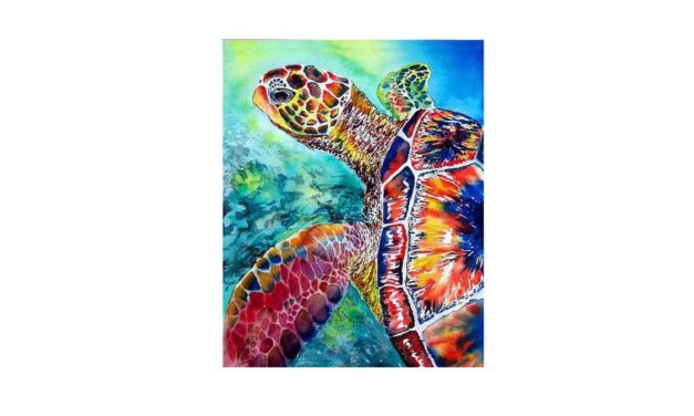 Vecka 29 – Färgglada sköldpadda