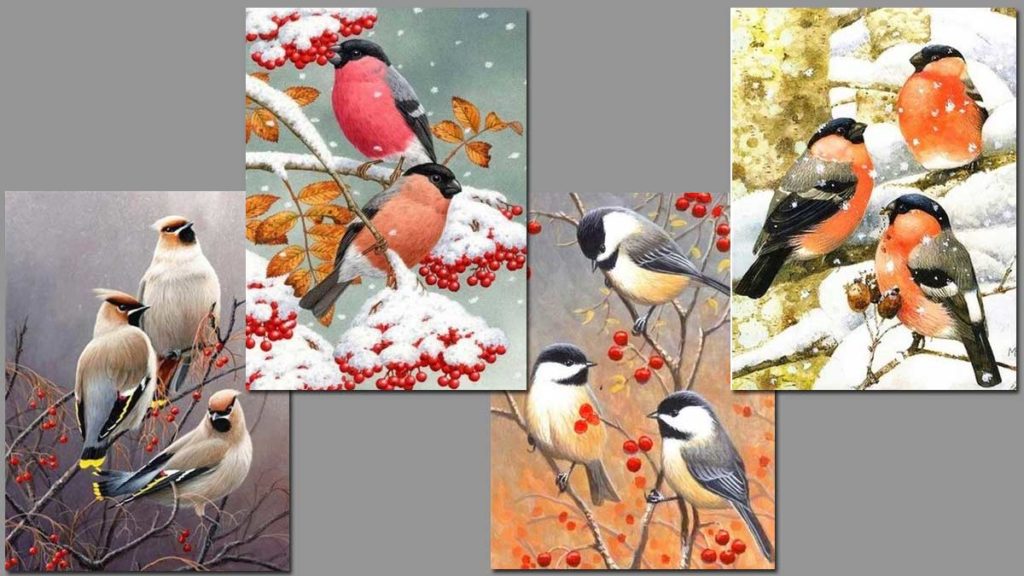 småfåglar i höst och vinter miljö