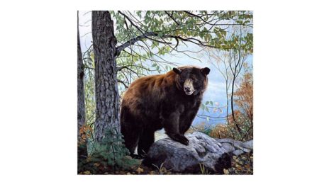 Vecka 46 – Magnifik björn