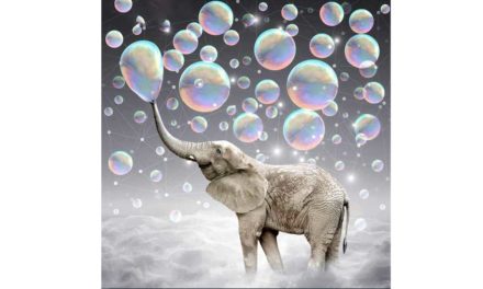 Vecka 44 – Bubbelblåsande elefant