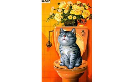 Vecka 6 – Katt på en toalett