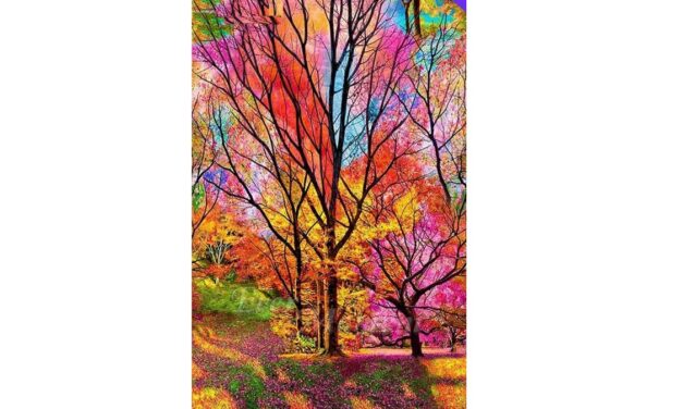 Vecka 46 – Färgglada träd